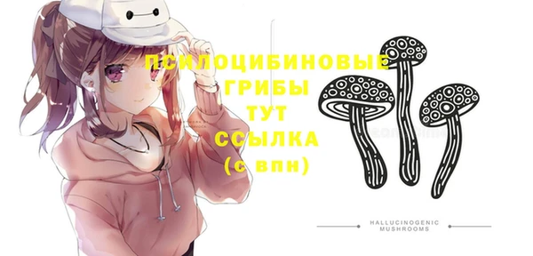 прущая мука Надым