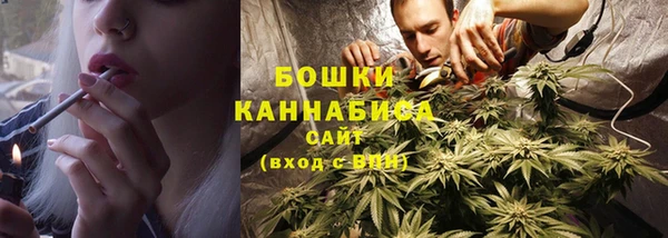 амф Новозыбков