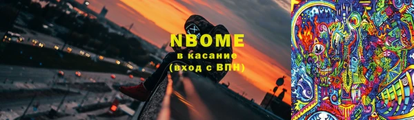 амф Новозыбков