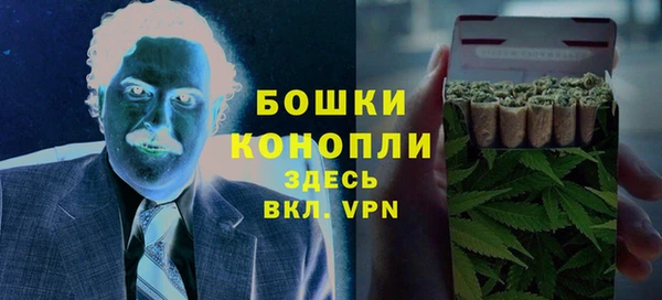 амф Новозыбков