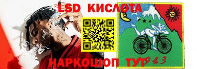 крисы Беслан