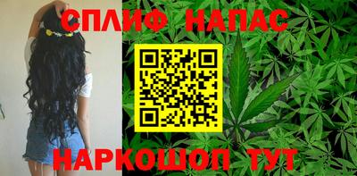 дмт Донецк
