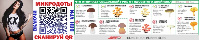 Галлюциногенные грибы ЛСД Каменка