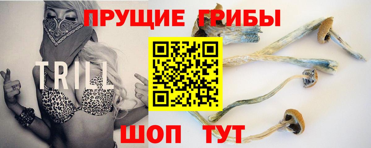 ГЕРОИН Каменка