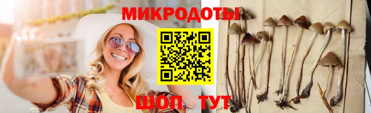 Каменка  Галлюциногенные грибы мухоморы  Вход с VPN 